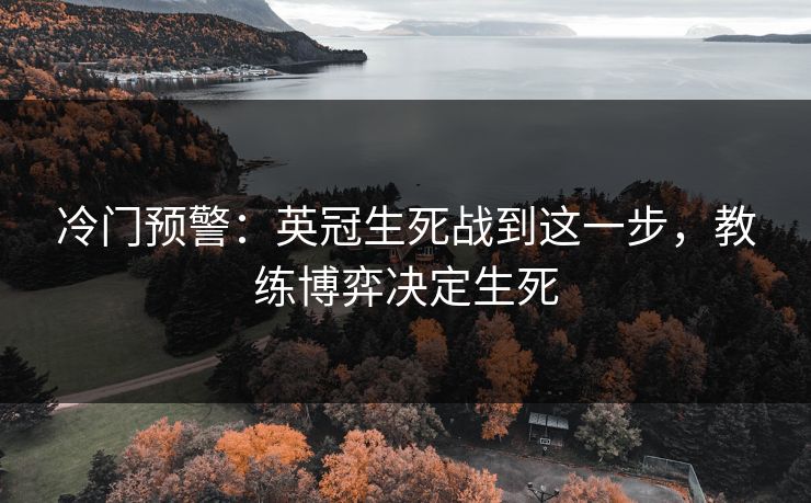 冷门预警:英冠生死战到这一步,教练博弈决定生死 冷门预警:英冠生死战到这一步,教练博弈决定生死